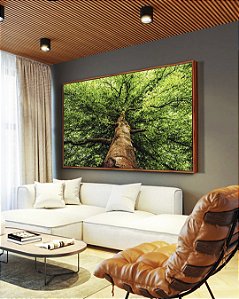 Quadro Paisagem Árvore Folhas Verdes Floresta Natureza Canvas Moldura