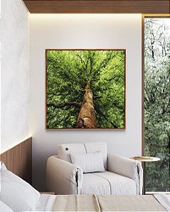 Quadro Quadrado Paisagem Árvore Folhas Verdes Floresta Natureza Canvas Moldura