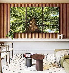 Trio de Quadros Paisagem Árvore Folhas Verdes Floresta Natureza Céu Azul Canvas Moldura
