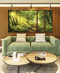 Trio de Quadros Estilizados Caminho na Floresta Luz do Sol Paisagem Verde Relaxante Canvas Moldura