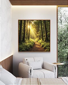 Quadro Quadrado Caminho Floresta Luz Dourada Sol Árvores Paisagem Relaxante Canvas Moldura