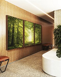 Trio de Quadros Caminho Iluminado Floresta Árvores Raios de Luz Sol Natureza Verde Canvas Moldura