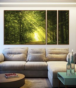 Trio de Quadros Estilizados Luzes do Sol em Caminho Floresta Árvores Paisagem Natureza Canvas Moldura