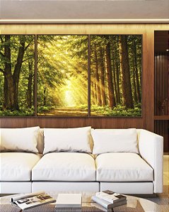 Trio de Quadros Caminho Iluminado na Floresta Natureza Luz do Sol Canvas Moldura