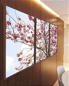 Trio de Quadros Árvore Ipê Flores Rosa Céu Azul Natureza Paisagem Canvas Moldura