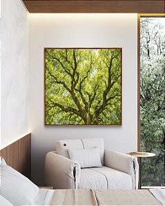 Quadro Quadrado Copa de Árvore Verde Natureza Paisagem Luz Solar Canvas Moldura