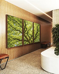 Trio de Quadros Copa de Árvore Verde Natureza Paisagem Luz Solar Canvas Moldura