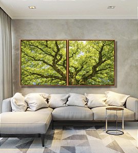 Duo de Quadros Quadrados Copa de Árvore Verde Natureza Paisagem Luz Solar Canvas Moldura