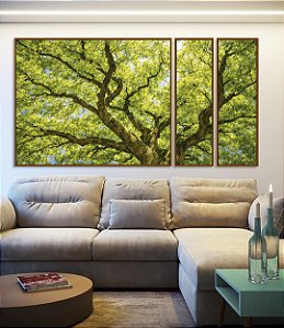 Trio de Quadros Estilizados Copa de Árvore Verde Natureza Paisagem Luz Solar Canvas Moldura