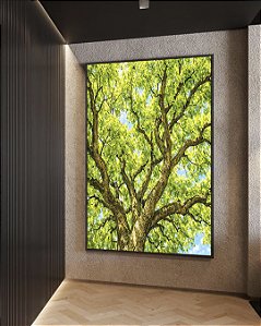 Quadro Vertical Copa de Árvore Verde Luz Solar Céu Azul Natureza Canvas Moldura