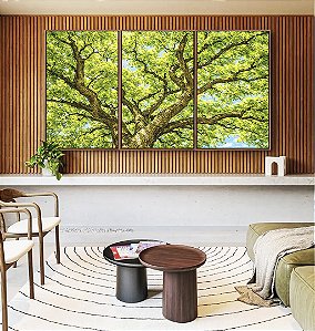 Trio de Quadros Copa de Árvore Verde Luz Solar Céu Azul Natureza Canvas Moldura