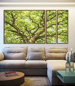 Trio de Quadros Estilizados Copa de Árvore Verde Luz Solar Céu Azul Natureza Canvas Moldura