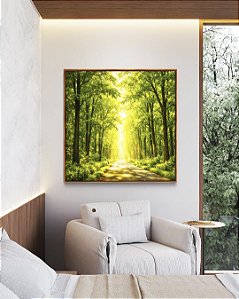 Quadro Quadrado Caminho Iluminado na Floresta Verde Natureza Paisagem Canvas Moldura