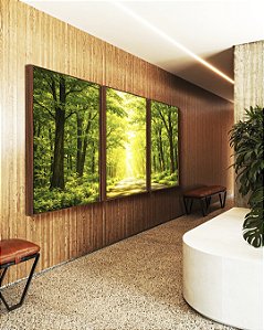 Trio de Quadros Caminho Iluminado na Floresta Verde Natureza Paisagem Canvas Moldura
