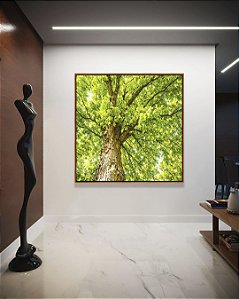 Quadro Quadrado Copa de Árvore Verde Iluminada Céu Natureza Paisagem Canvas Moldura