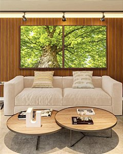 Duo de Quadros Quadrados Copa de Árvore Verde Iluminada Céu Natureza Paisagem Canvas Moldura