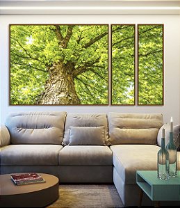 Trio de Quadros Estilizados Copa de Árvore Verde Iluminada Céu Natureza Paisagem Canvas Moldura