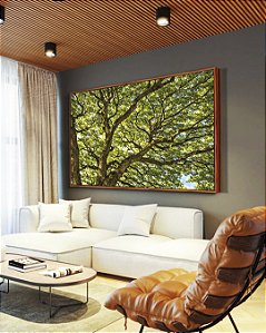 Quadro Horizontal Copa das Árvores Galhos Luz Natural Paisagem Canvas Moldura