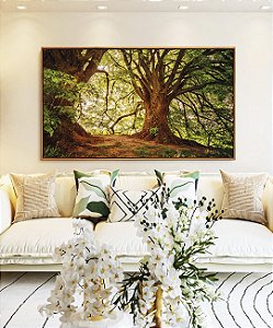 Quadro Horizontal Árvores Iluminadas Douradas Floresta Paisagem Natureza Canvas Moldura