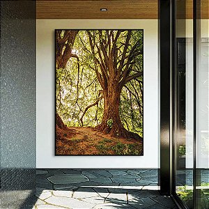 Quadro Vertical Árvores Iluminadas Douradas Floresta Paisagem Natureza Canvas Moldura