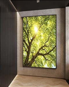 Quadro Vertical Copa da Árvore Luz do Sol Céu Azul Natureza Canvas Moldura