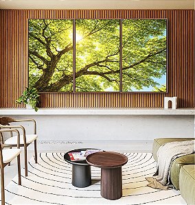 Trio de Quadros Copa da Árvore Luz do Sol Céu Azul Natureza Canvas Moldura