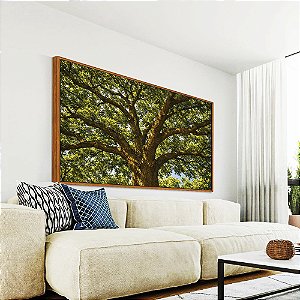 Quadro Horizontal Árvore Iluminada Folhagem Verde Luz Natural Canvas Moldura