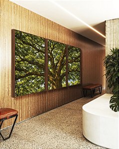 Trio de Quadros Árvore Iluminada Folhagem Verde Luz Natural Canvas Moldura