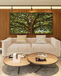 Duo de Quadros Quadrados Árvore Iluminada Folhagem Verde Luz Natural Canvas Moldura