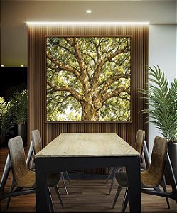 Quadro Quadrado Árvore Majestosa Folhagem Verde Luz Dourada Natureza Canvas Moldura