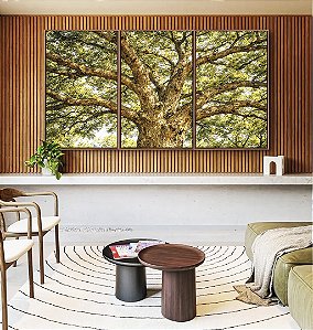 Trio de Quadros Árvore Majestosa Folhagem Verde Luz Dourada Natureza Canvas Moldura