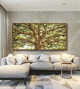 Duo de Quadros Quadrados Árvore Majestosa Folhagem Verde Luz Dourada Natureza Canvas Moldura