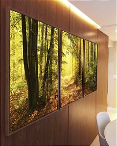 Trio de Quadros Caminho Iluminado na Floresta Dourada Natureza Paisagem Canvas Moldura