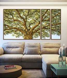 Trio de Quadros Estilizados Paisagem Copa de Árvore iluminada Natureza Canvas Moldura