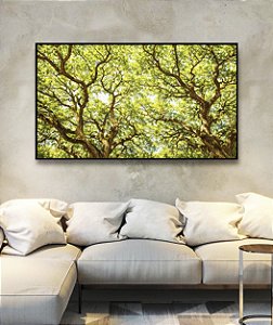 Quadro Horizontal Copa de Árvore Iluminada Galhos Folhas Verdes Natureza Canvas Moldura