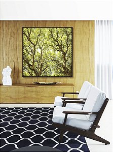 Quadro Quadrado Copa de Árvore Iluminada Galhos Folhas Verdes Natureza Canvas Moldura