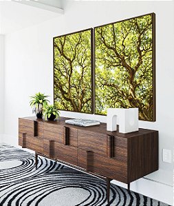 Duo de Quadros Copa de Árvore Iluminada Galhos Folhas Verdes Natureza Canvas Moldura