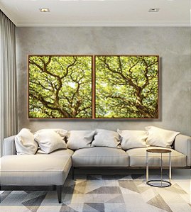 Duo de Quadros Quadrados Copa de Árvore Iluminada Galhos Folhas Verdes Natureza Canvas Moldura
