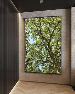 Quadro Vertical Copa de Árvores Verdes Imponentes Céu Azul Natureza Canvas Moldura