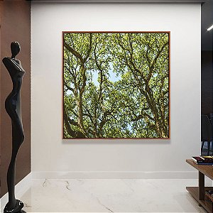 Quadro Quadrado Copa de Árvores Verdes Imponentes Céu Azul Natureza Canvas Moldura