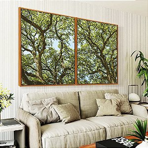 Duo de Quadros Copa de Árvores Verdes Imponentes Céu Azul Natureza Canvas Moldura