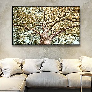 Quadro Horizontal Árvore Outono Folhas Douradas Céu Azul Turquesa Paisagem Natureza Canvas Moldura