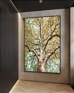 Quadro Vertical Árvore Outono Folhas Douradas Céu Azul Turquesa Paisagem Natureza Canvas Moldura