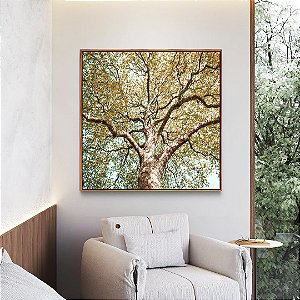 Quadro Quadrado Árvore Outono Folhas Douradas Céu Azul Turquesa Paisagem Natureza Canvas Moldura
