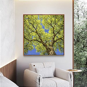 Quadro Quadrado Árvore Folhas Verde Vívido Céu Azul Intenso Natureza Paisagem Canvas Moldura