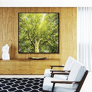 Quadro Quadrado Árvore Galhos Folhas em Verde Intenso Vivo Natureza Paisagem Canvas Moldura