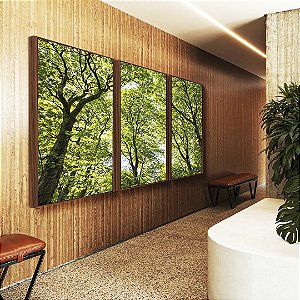 Trio de Quadros Copa de Árvores Verde Vibrante Céu Claro Natureza Canvas Moldura