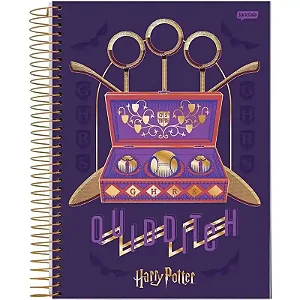 CADERNO ESPIRAL UNIVERSITÁRIO HARRY POTTER CD 15X1 300FLS