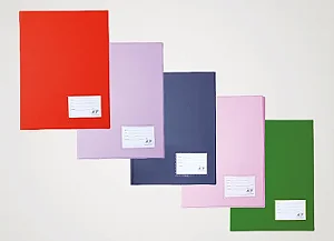 Pasta Catálogo Ofício com 50 Envelopes ACP - Unidade