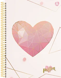 Caderno Universitário 15 Matérias Capa Dura Passion